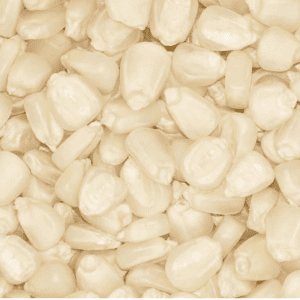 emseafarm-white-maize